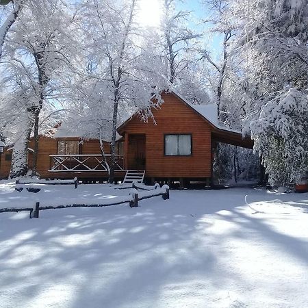 Cabanas Bafemadi Las Trancas Dış mekan fotoğraf