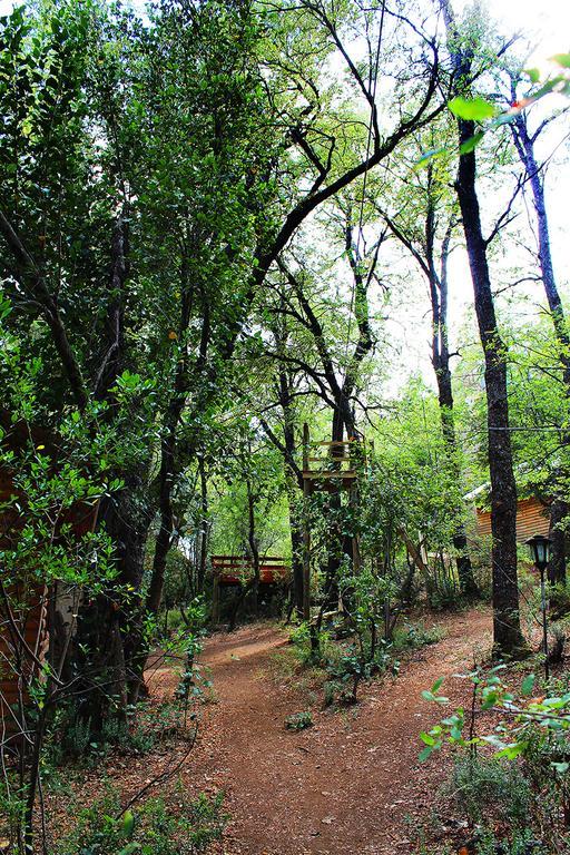 Cabanas Bafemadi Las Trancas Dış mekan fotoğraf