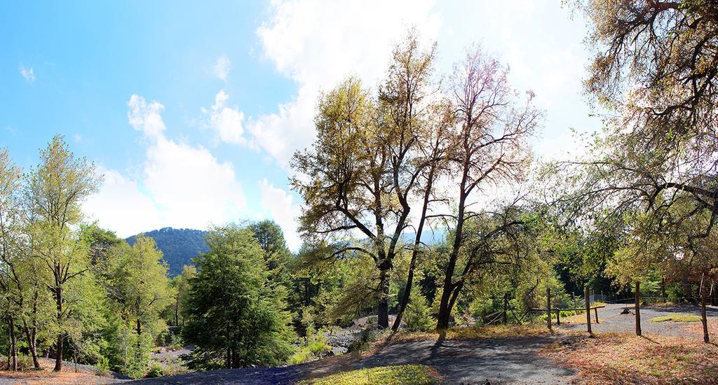 Cabanas Bafemadi Las Trancas Dış mekan fotoğraf