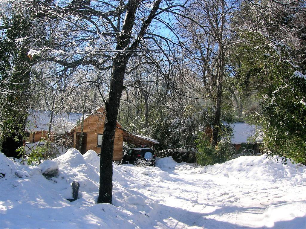 Cabanas Bafemadi Las Trancas Dış mekan fotoğraf