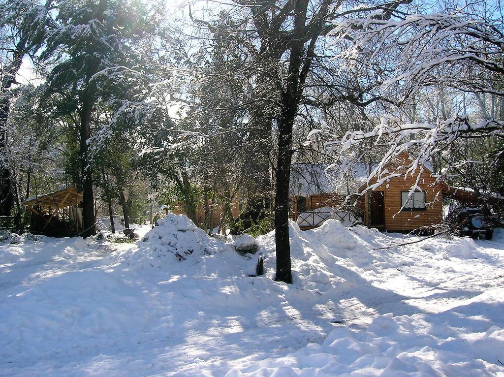 Cabanas Bafemadi Las Trancas Dış mekan fotoğraf