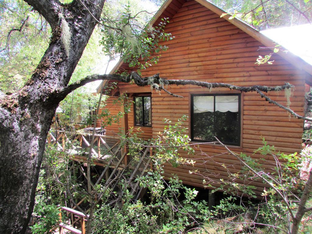 Cabanas Bafemadi Las Trancas Dış mekan fotoğraf