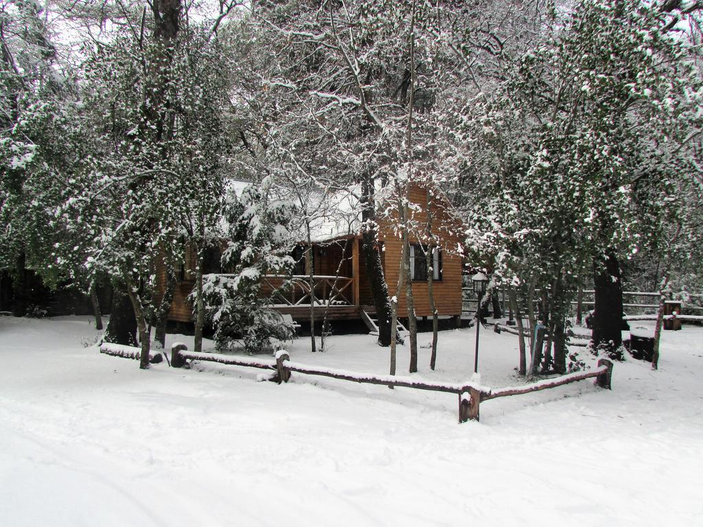 Cabanas Bafemadi Las Trancas Dış mekan fotoğraf