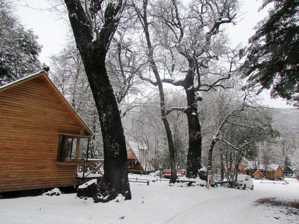 Cabanas Bafemadi Las Trancas Dış mekan fotoğraf