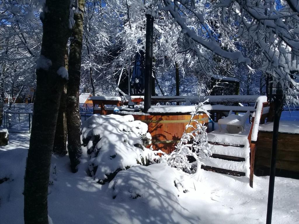 Cabanas Bafemadi Las Trancas Dış mekan fotoğraf