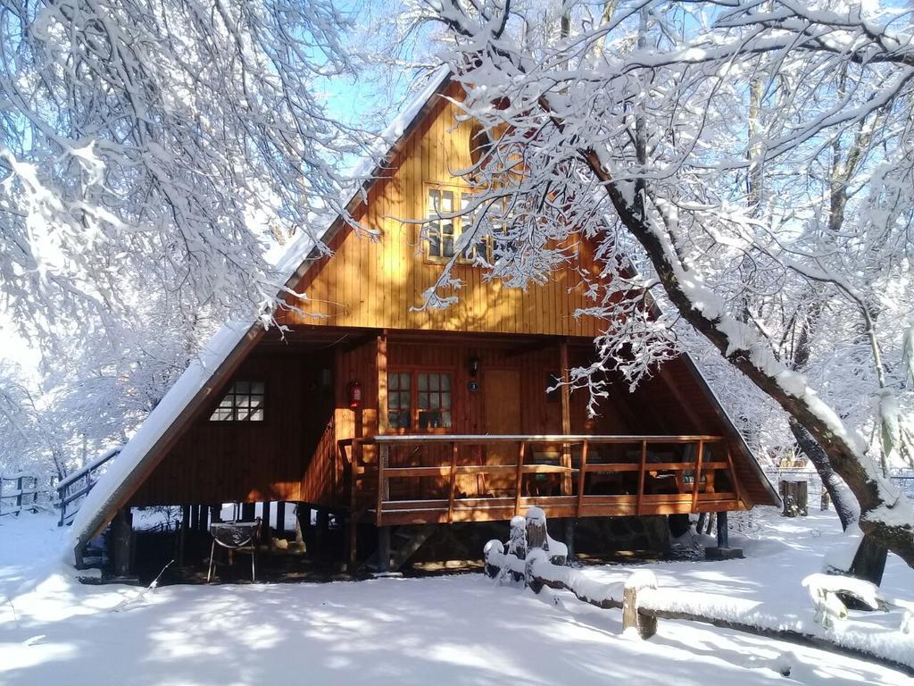Cabanas Bafemadi Las Trancas Dış mekan fotoğraf