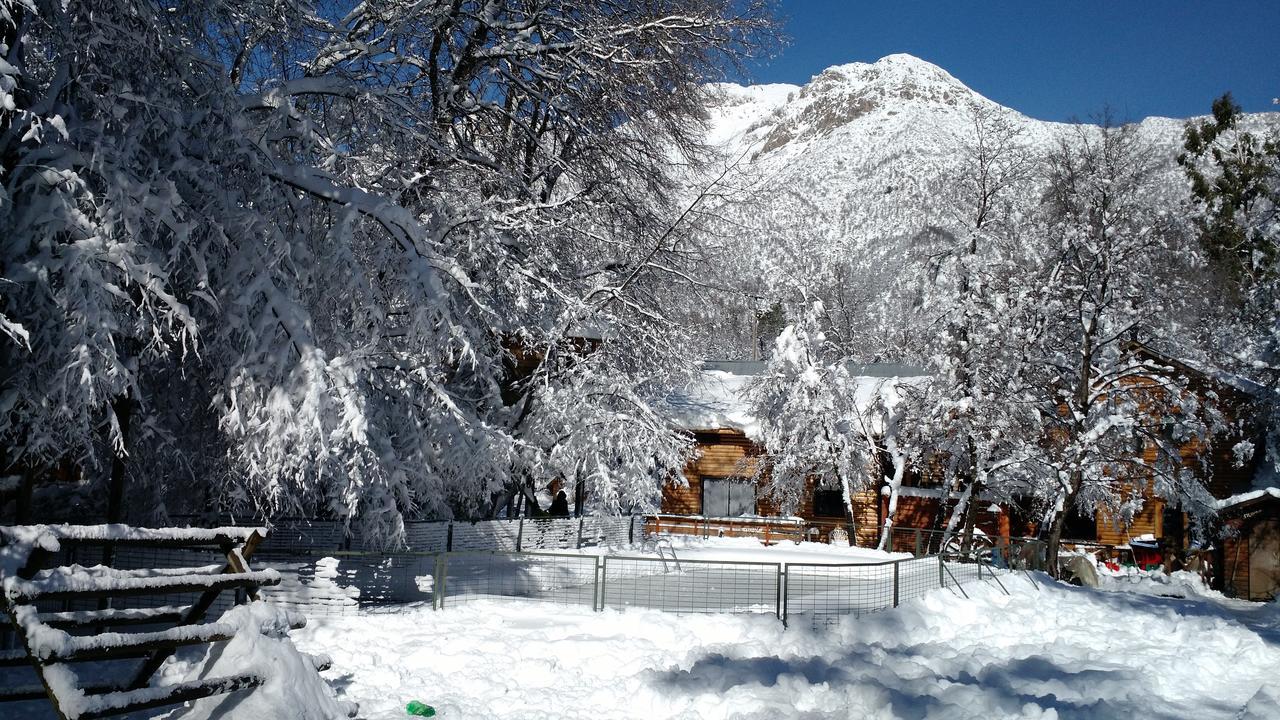 Cabanas Bafemadi Las Trancas Dış mekan fotoğraf