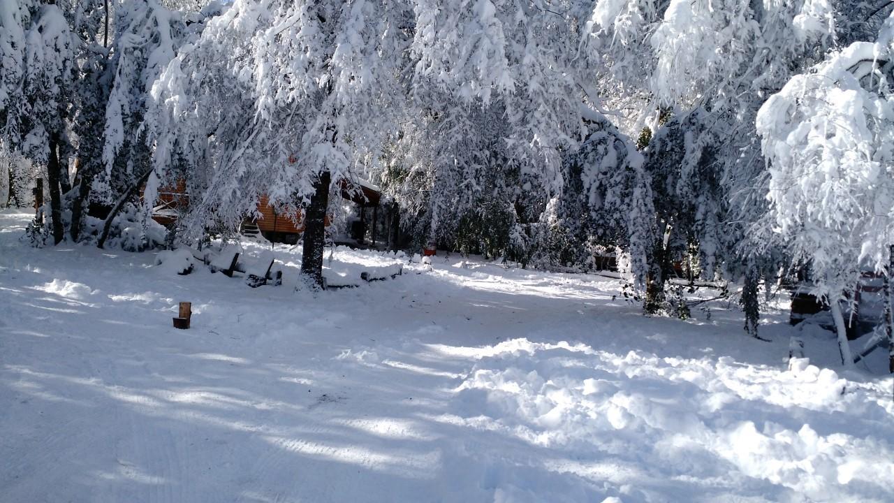 Cabanas Bafemadi Las Trancas Dış mekan fotoğraf