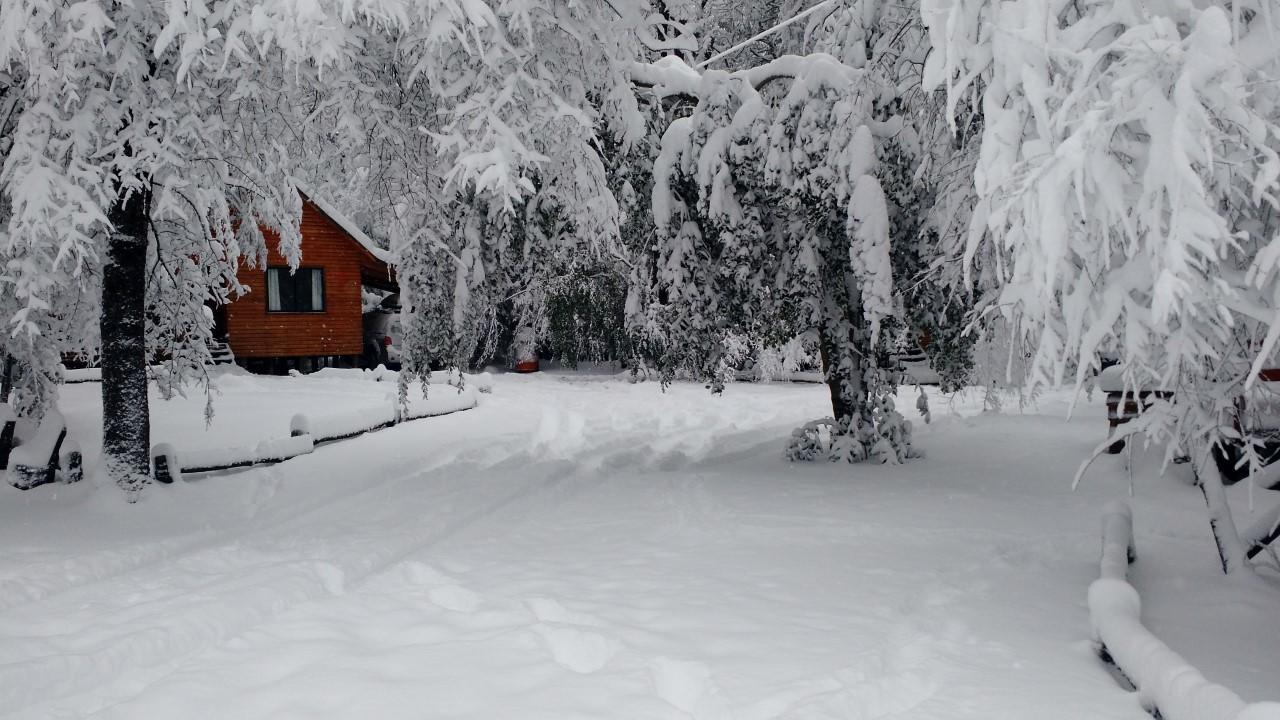 Cabanas Bafemadi Las Trancas Dış mekan fotoğraf